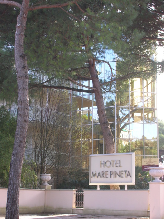 Hotel Mare Pineta****