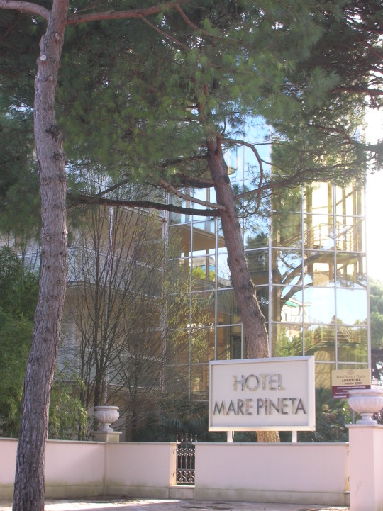 Hotel Mare Pineta****